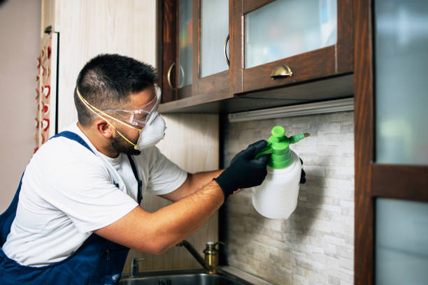 Best Residential Pest Control  in Federal Y, WA