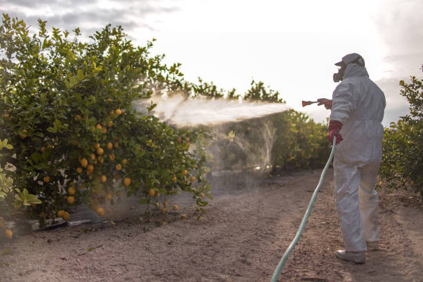 Best Residential Pest Control  in Federal Y, WA