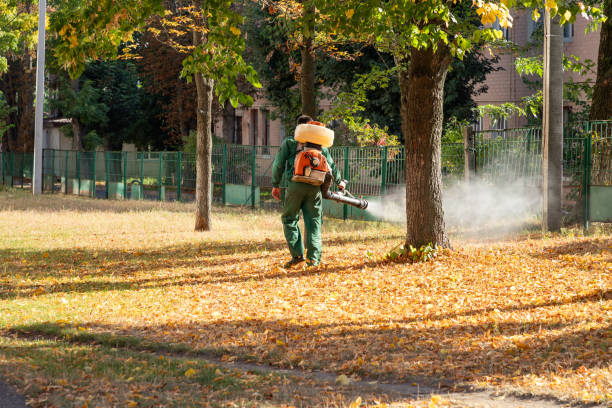 Best Pest Removal Services  in Federal Y, WA