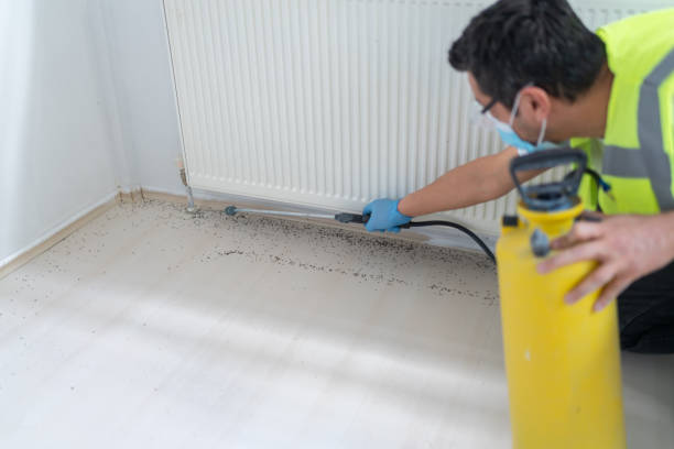 Trusted Federal Way, WA Pest Control Experts