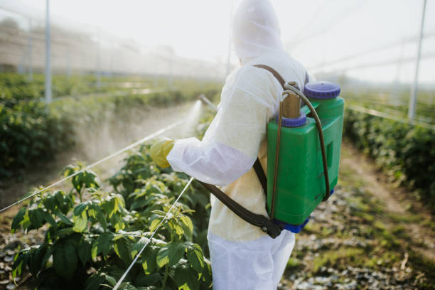 Best Emergency Pest Control  in Federal Y, WA